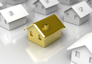 Investment Property