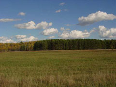 Buying vacant land