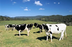 Financing a hobby farm.