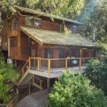Prakash Rai Property Purchase East Gosford